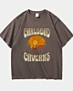 Carlsbad Caverns New Mexico Nature Hiking Outdoors Heavyweight Oversized T-Shirt