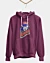 Defunct Allentown Ambassadors Baseball Team Classic Fleece Hoodie